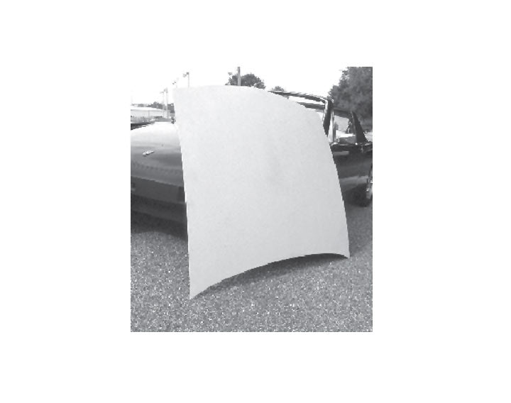 FIBERGLASS HOOD WITHOUT LIGHTS 914