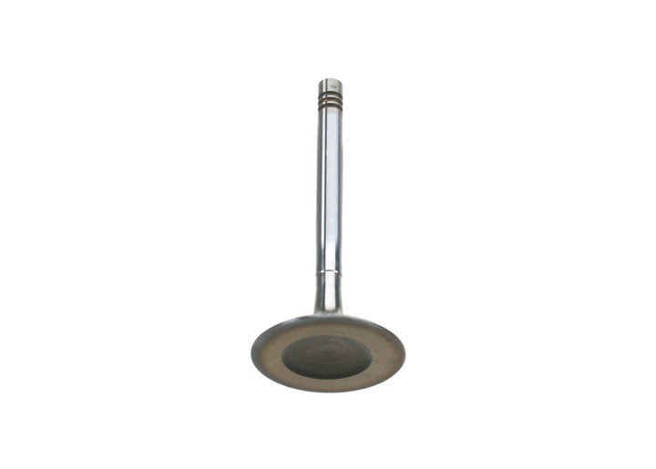 Absolute Excellence Intake Valve