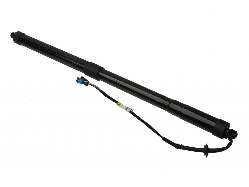 Tailgate Strut