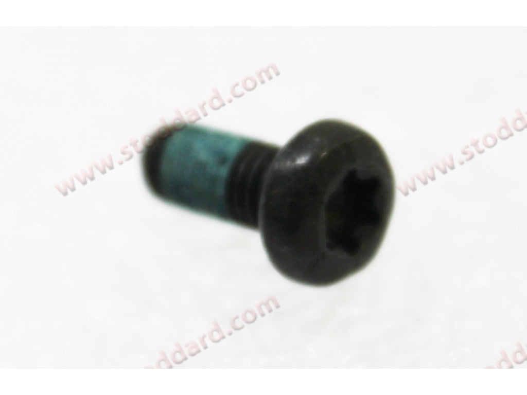 Targa Glass Roof Torx Screw for 993 1994-98