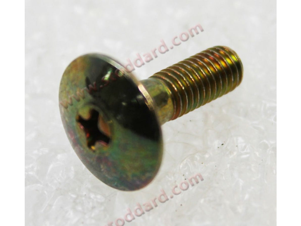 Screw For Rear Window Rail