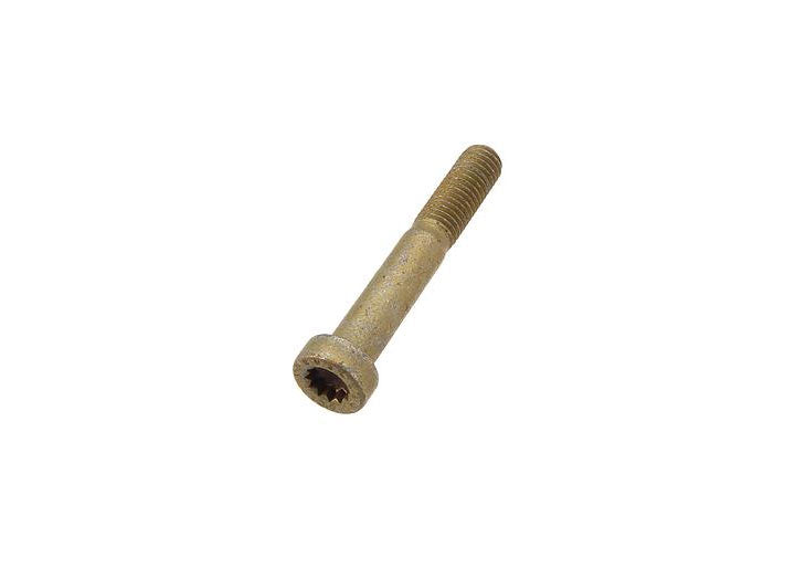 O.E.M. SCKT SCREW 10X65