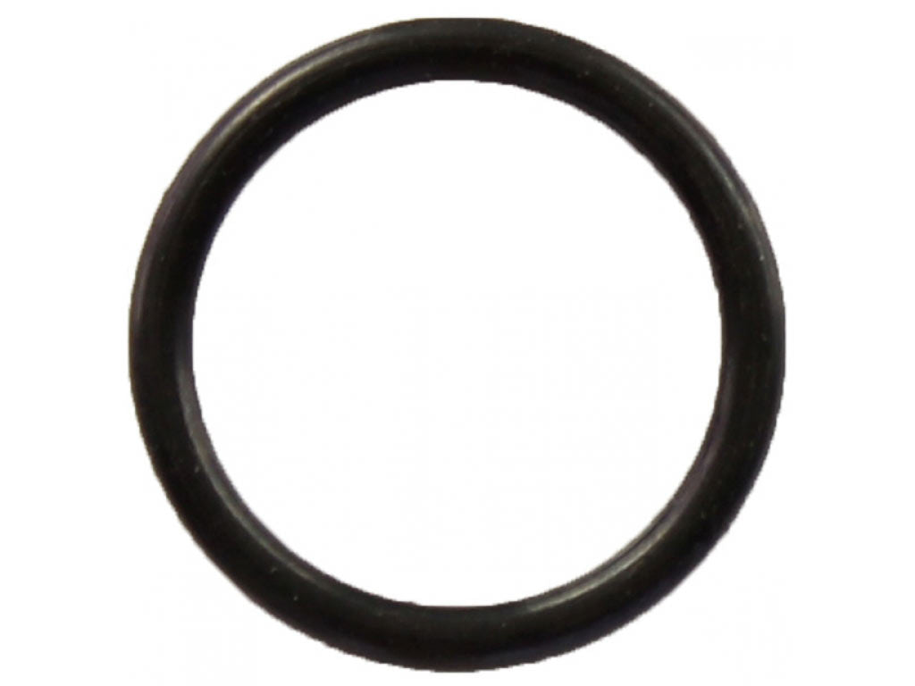 VICTOR REINZ O-Ring