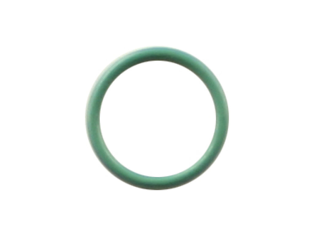 SANTECH O-RING