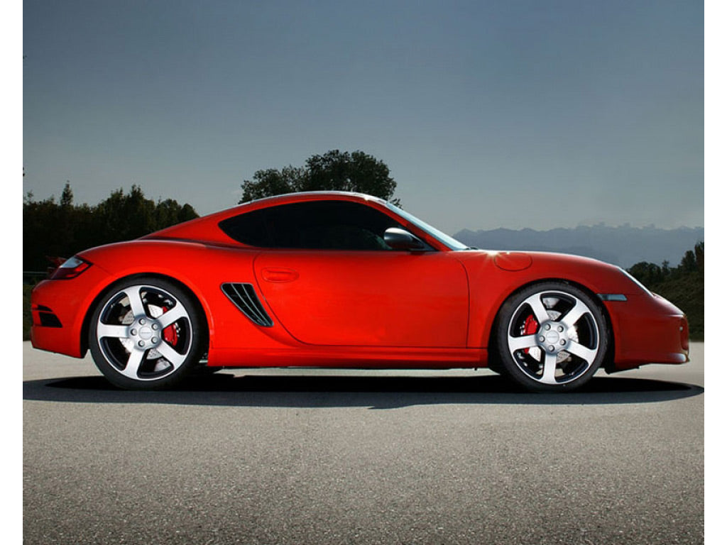 Exotic Car Gear Carbon Fiber Side Skirt OEM Replacement for