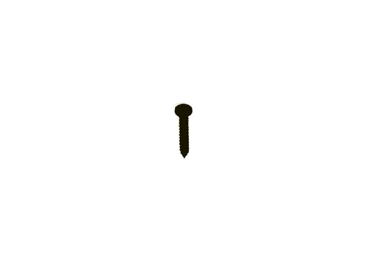 1975-76 BLACK TAG PLATE SCREW 2.9X19