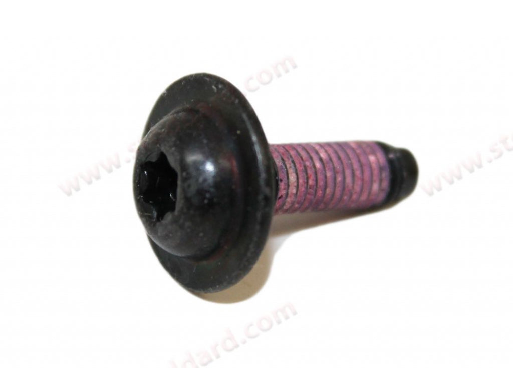 Screw For Sun Visor Assembly