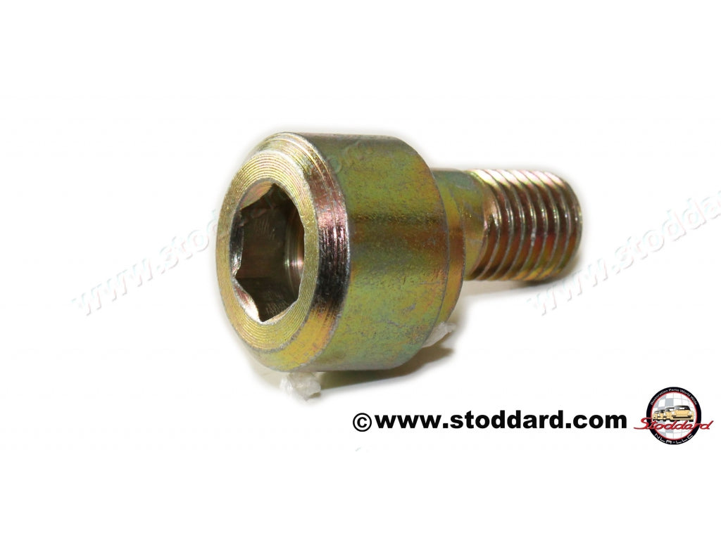 Small Eccentric Bolt for Rear Trailing Arm Spring Plate.