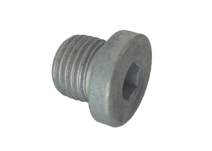 Plug for Thermal Reactor
