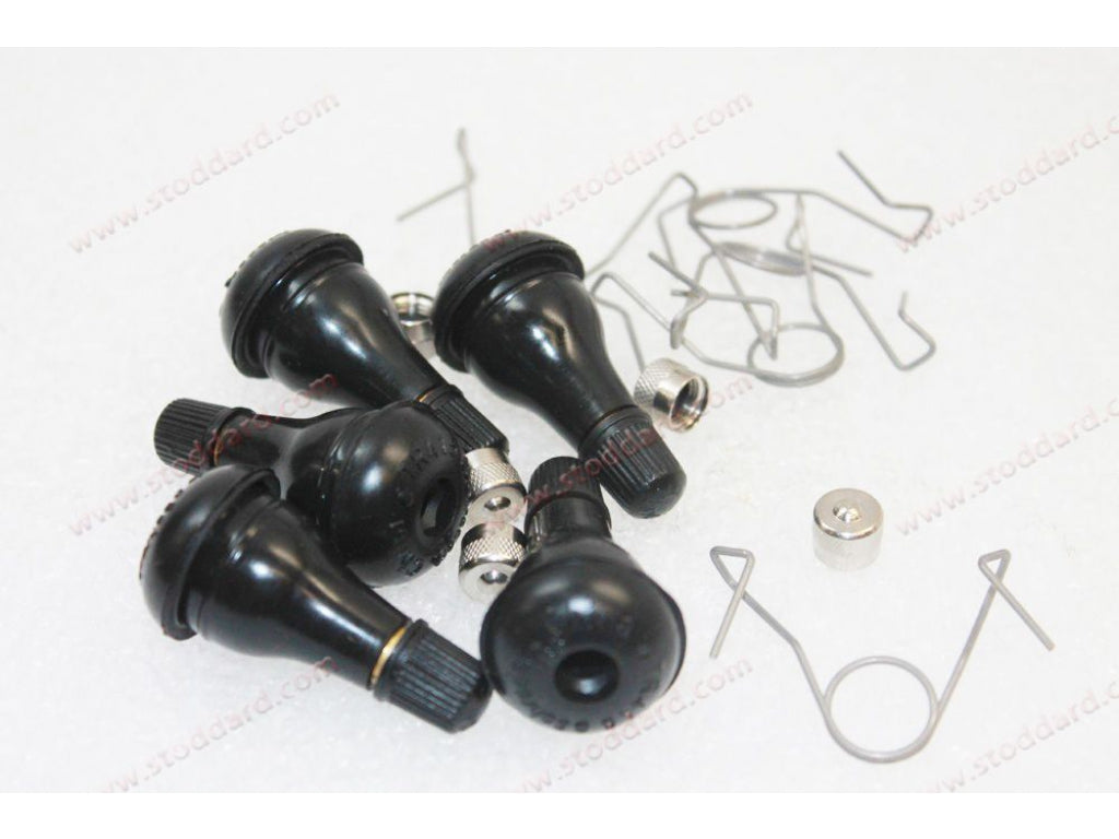 Schrader Tire Valve and Wire Retainer Kit of 5 for .625 rim holes with Schrader Brand Valves