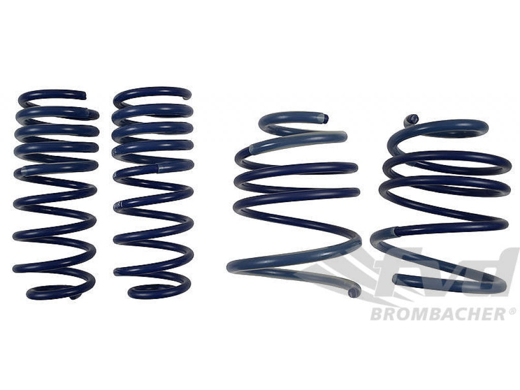 996 C4 Lowering Spring Kit (Tuv )