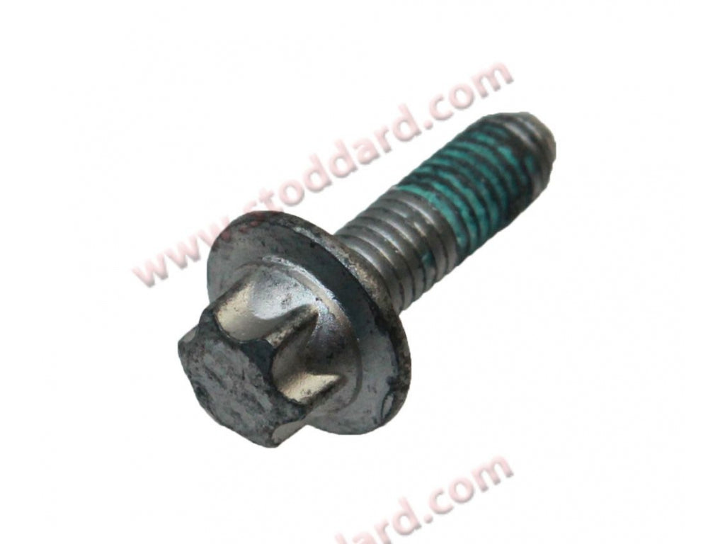 Torx Bolt