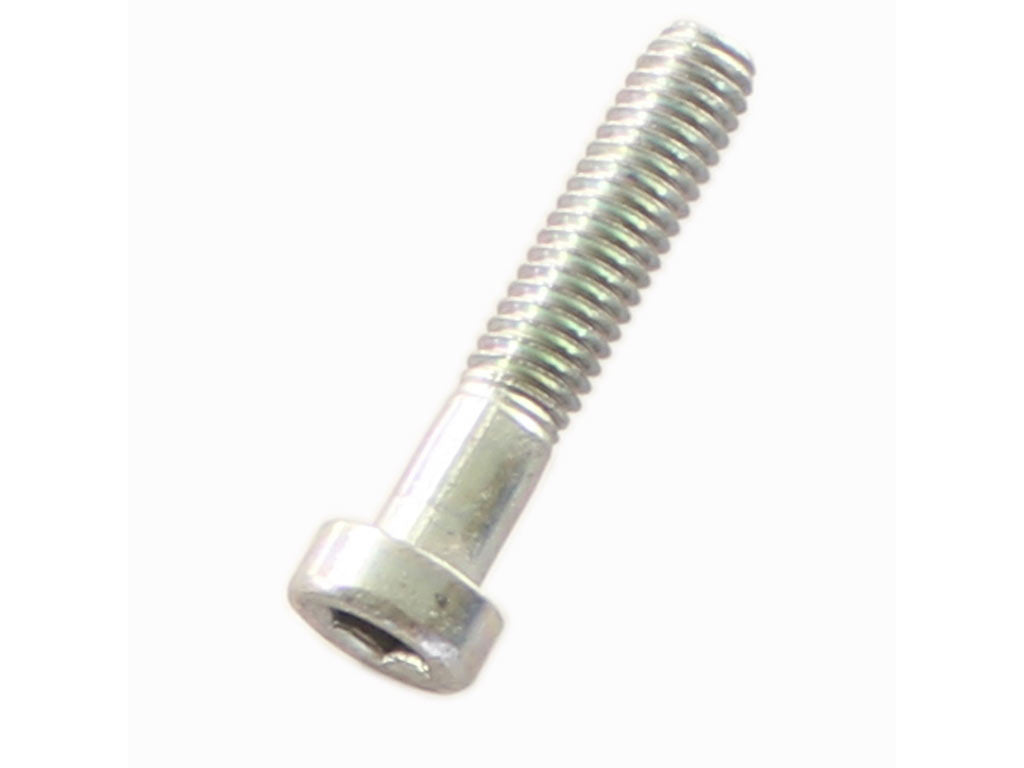 GERMAN Bolt for Alternator Pulley (6 X 30 mm)