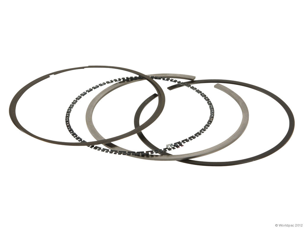 NPR Europe Piston Ring Set - Single Piston
