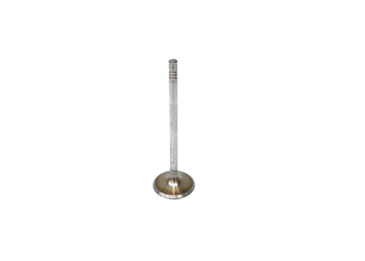 INTERVALVES INTAKE VALVE