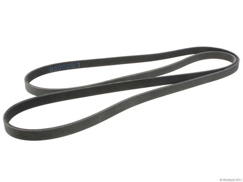 Continental Multi Rib Belt - 7DPK 2950
