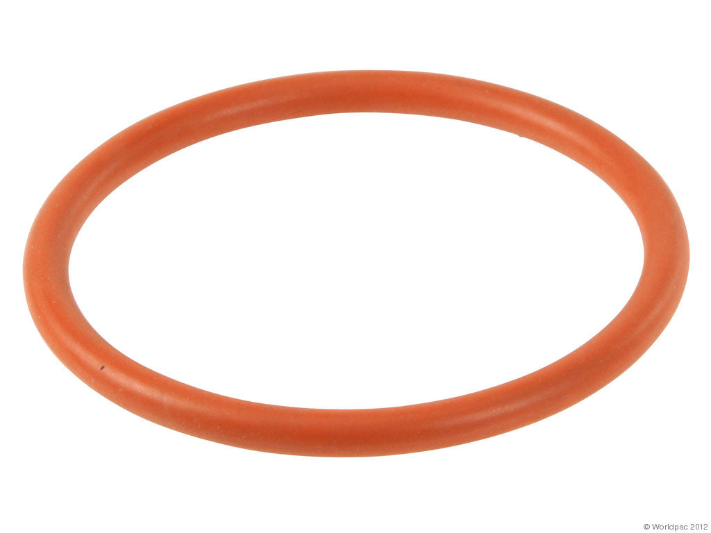 Throttle Switch O-Ring