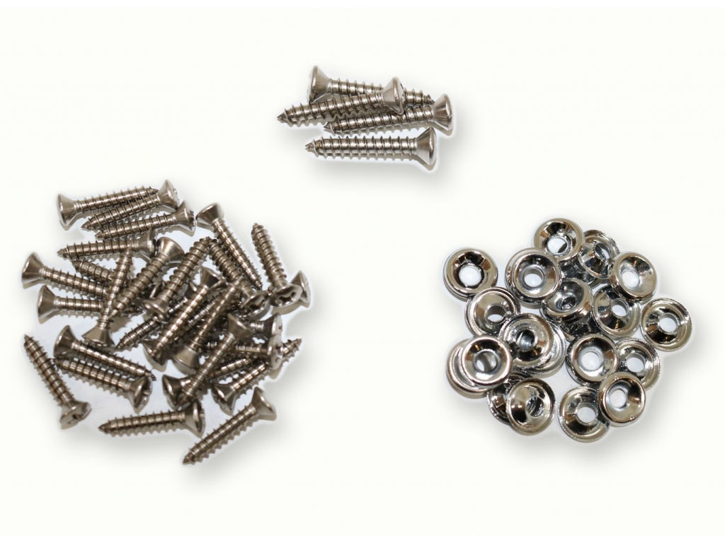 Stainless Door Panel Screw and Washer Set. one kit per car.
