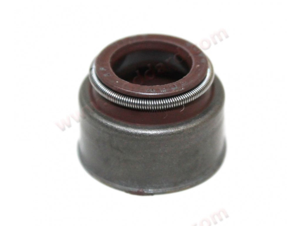 Valve Stem Seal