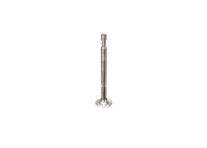 EX VALVE