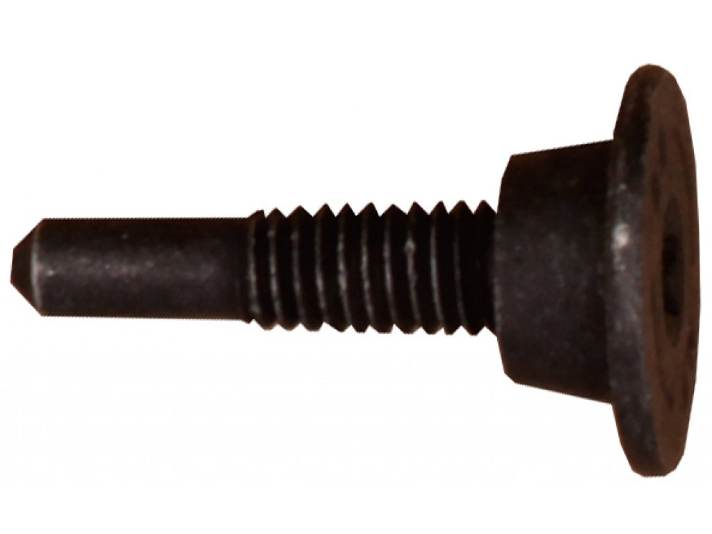 TORX SCREW 6X26