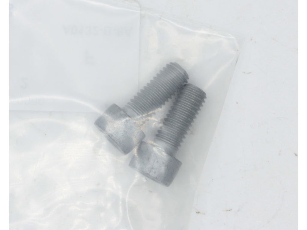 PAN-HEAD SCREW