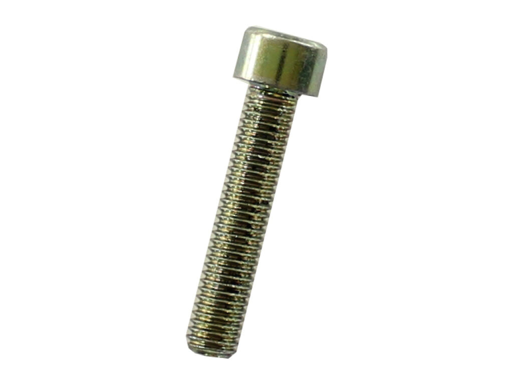 SCKT SCREW 10X50