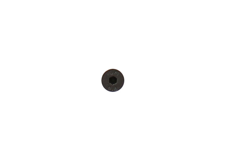 SCREW 4 X 8