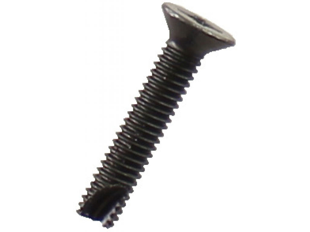 SCREW 4 X 20