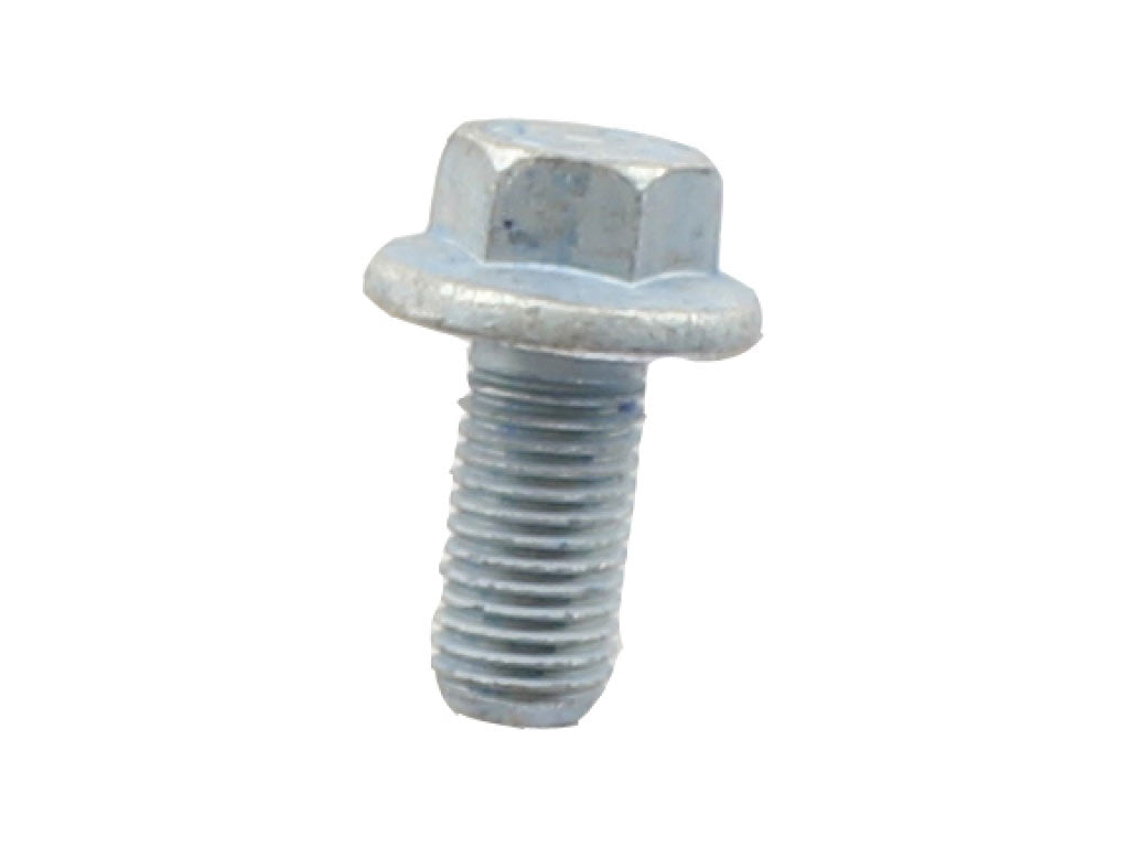 BOLT HEX-HD. 12X25