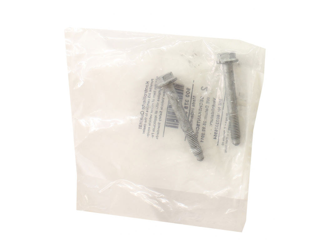 HEX-HEAD BOLT 8X65