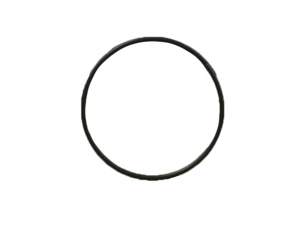 CALIPER GASKETS