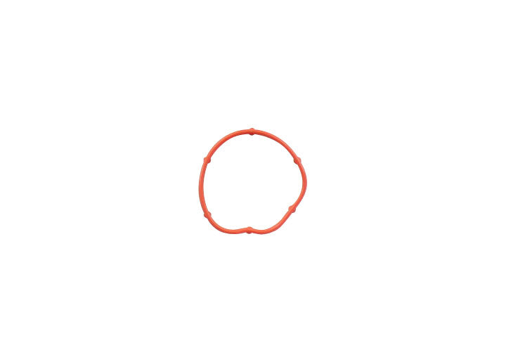 REGULATOR GASKET