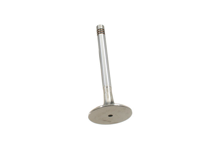EXHAUST VALVE