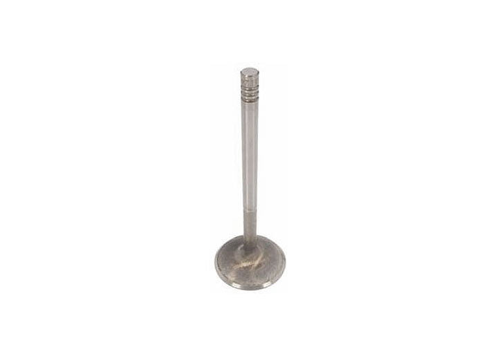 INTAKE VALVE