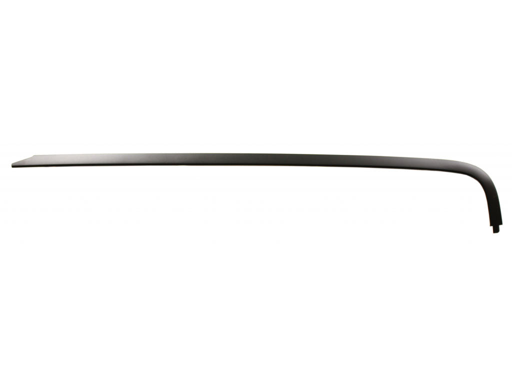 BODY SIDE MOULDING