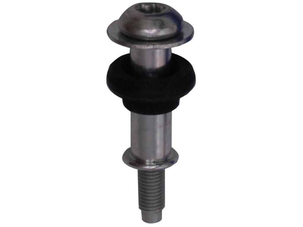 FASTENING SCREW  20x