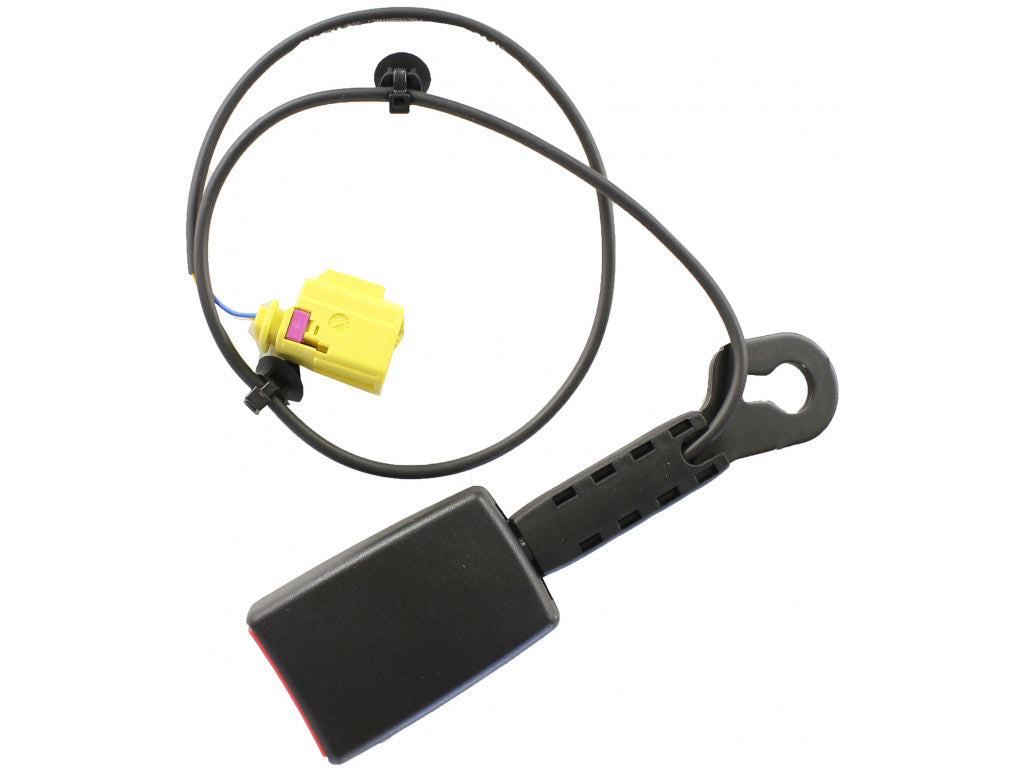 SEAT-BELT BUCKLE RIG