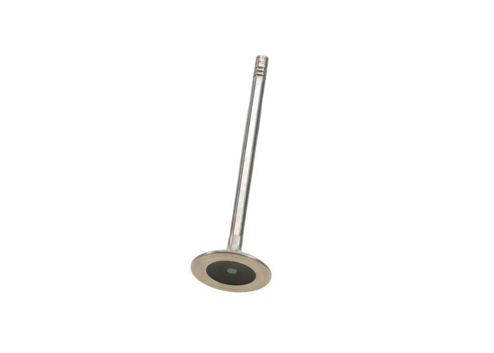 EXHAUST VALVE