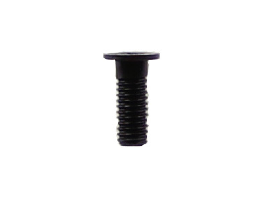 PLASTIC SCREW