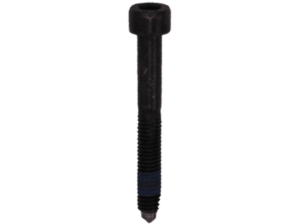 PAN-HEAD SCREW