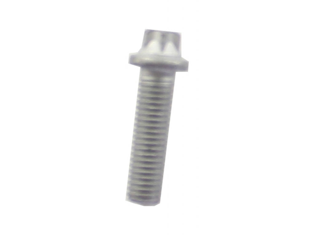 TORX SCREW 10X35