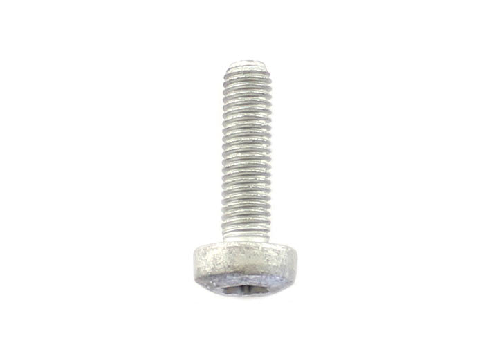 RND HEAD SCREW 8x30