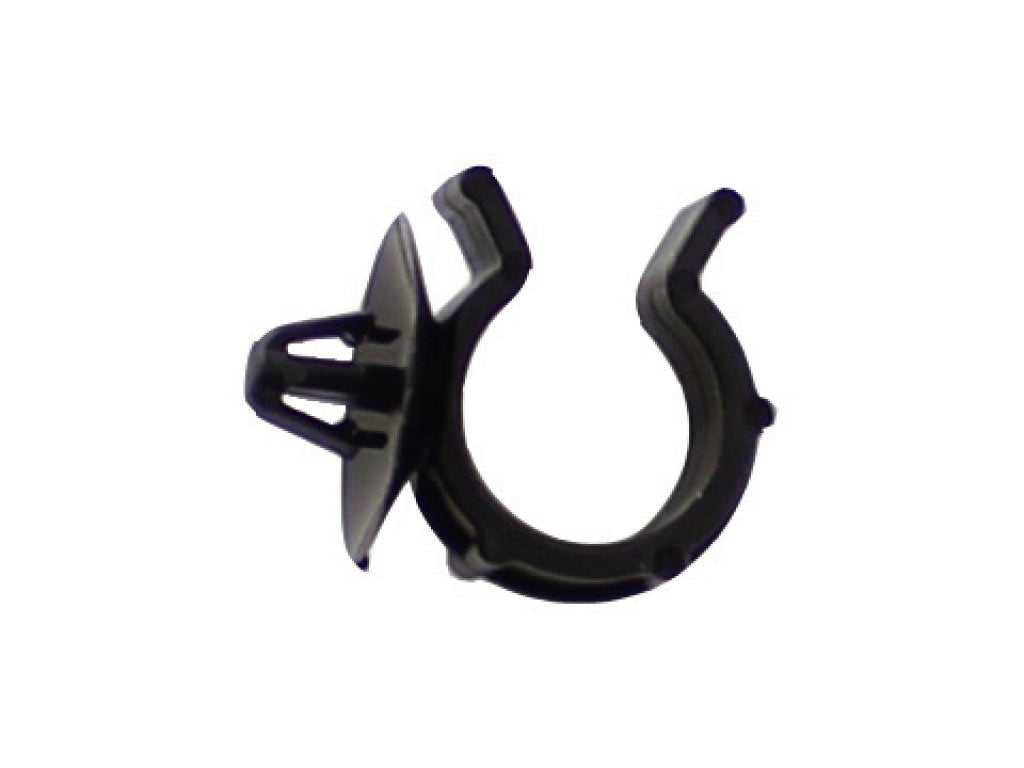 CLIP