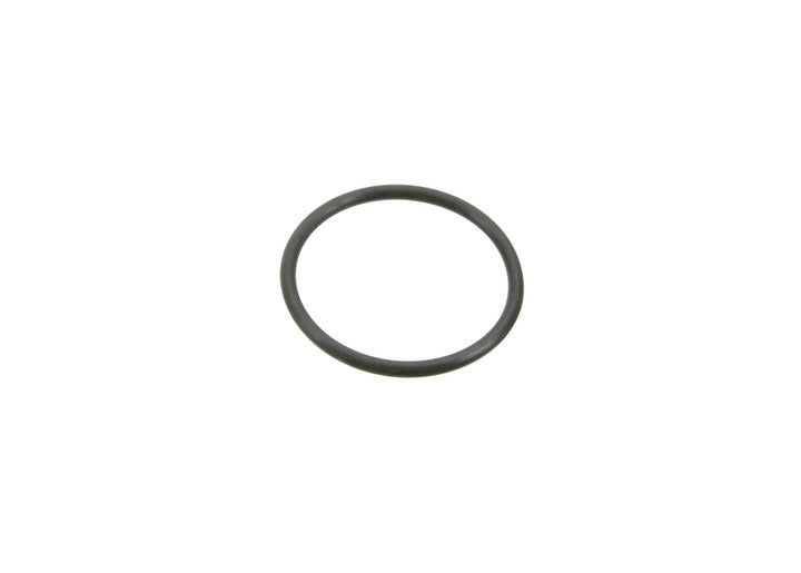 RUBBER O-RING