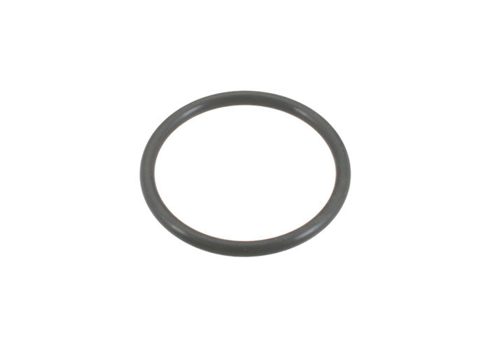 RUBBER O-RING*