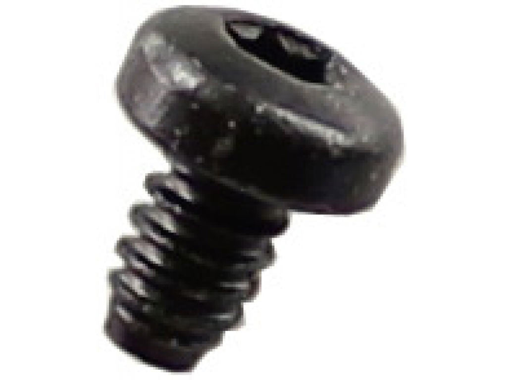 TORX SCREW 5X8