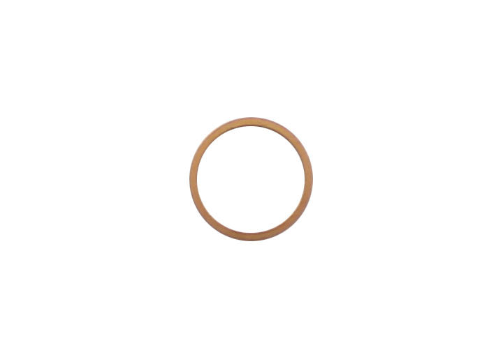 SEAL RING 18 X 22