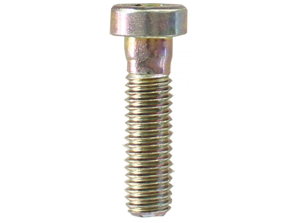 CHEESE HD SCREW 8x30