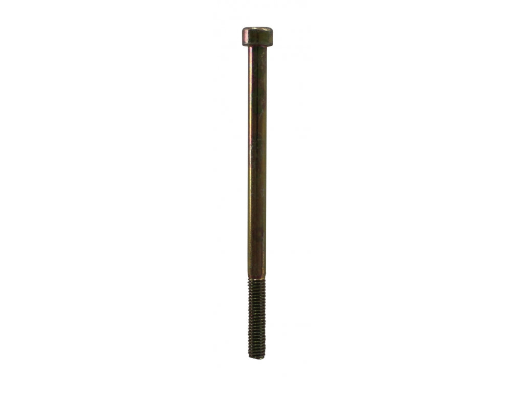 SCREW 6 X 100